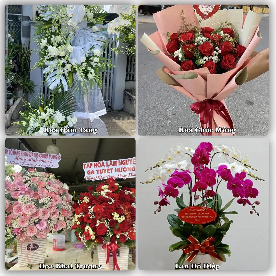 Tư vấn chọn hoa theo người nhận và dịp tặng tại Phường Thanh Thủy - Thành phố Huế