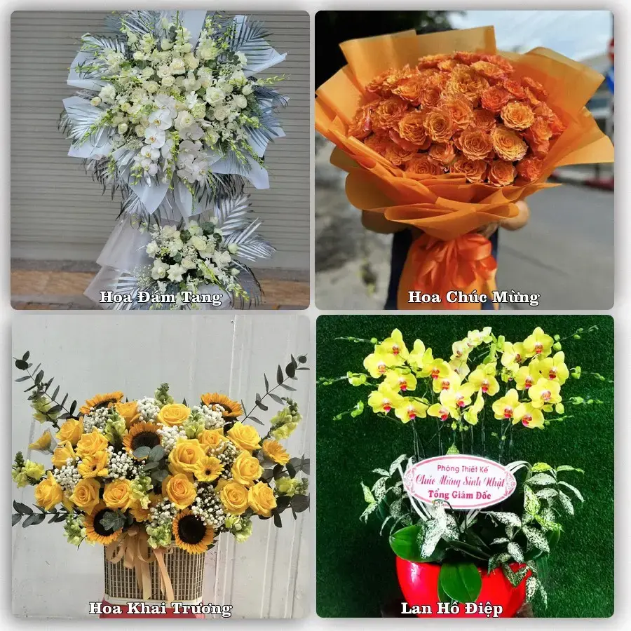 Đặt hoa tươi tại Phường Thượng Cát, Hà Nội – chọn mẫu theo ngân sách