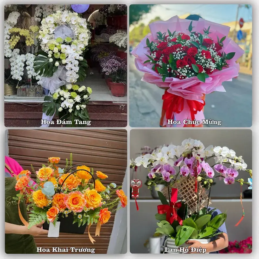 Đặt hoa tươi tại Phường Trung Nhứt, Cần Thơ – chọn mẫu theo ngân sách