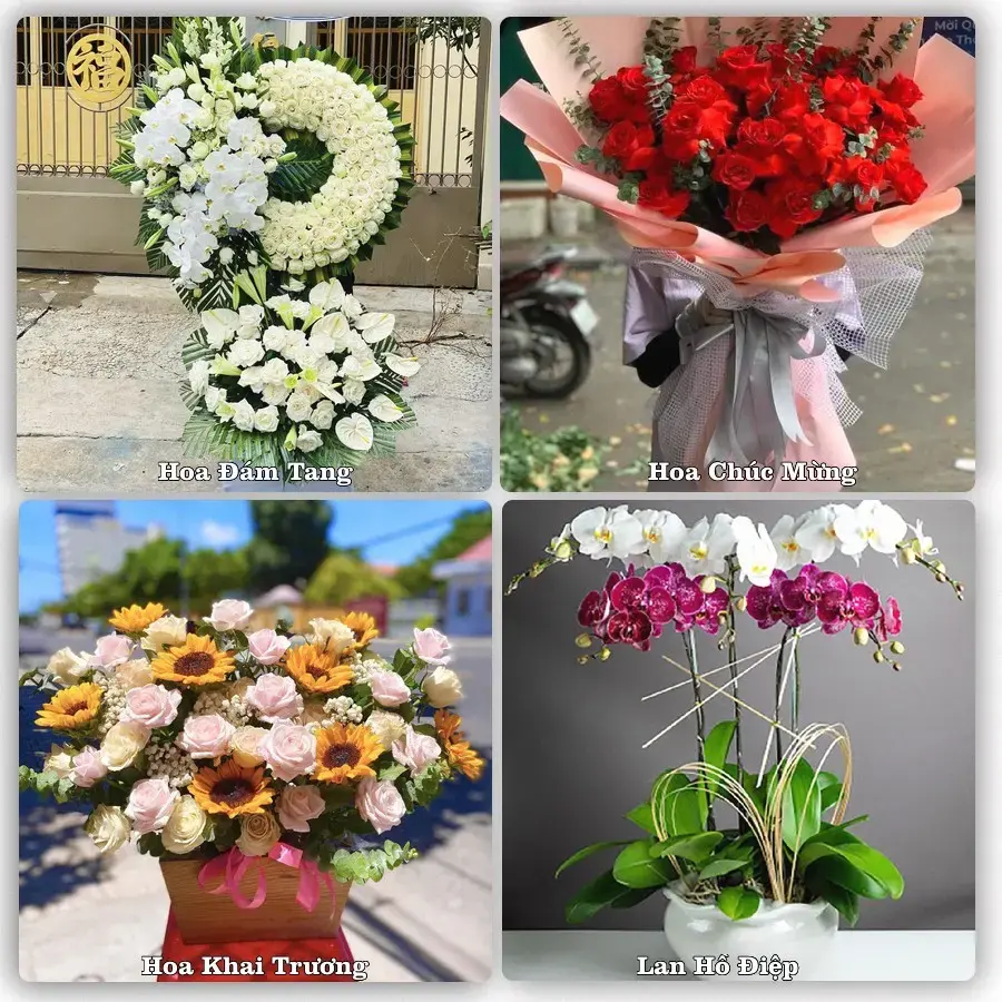 Tiệm hoa tươi Xã Chư Sê, Gia Lai – hoa sinh nhật và khai trương