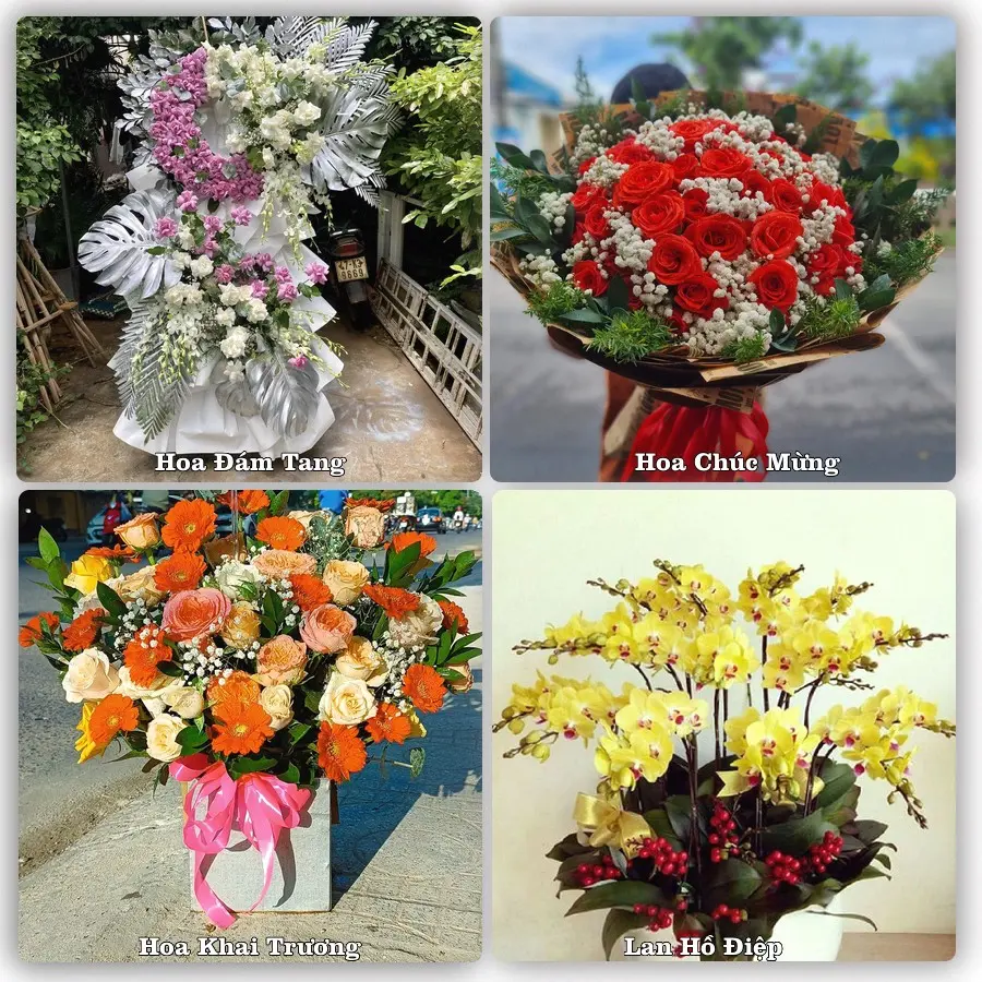 Dịch vụ đặt hoa và giao tận nơi tại Xã Cù Lao Giêng - Tỉnh An Giang