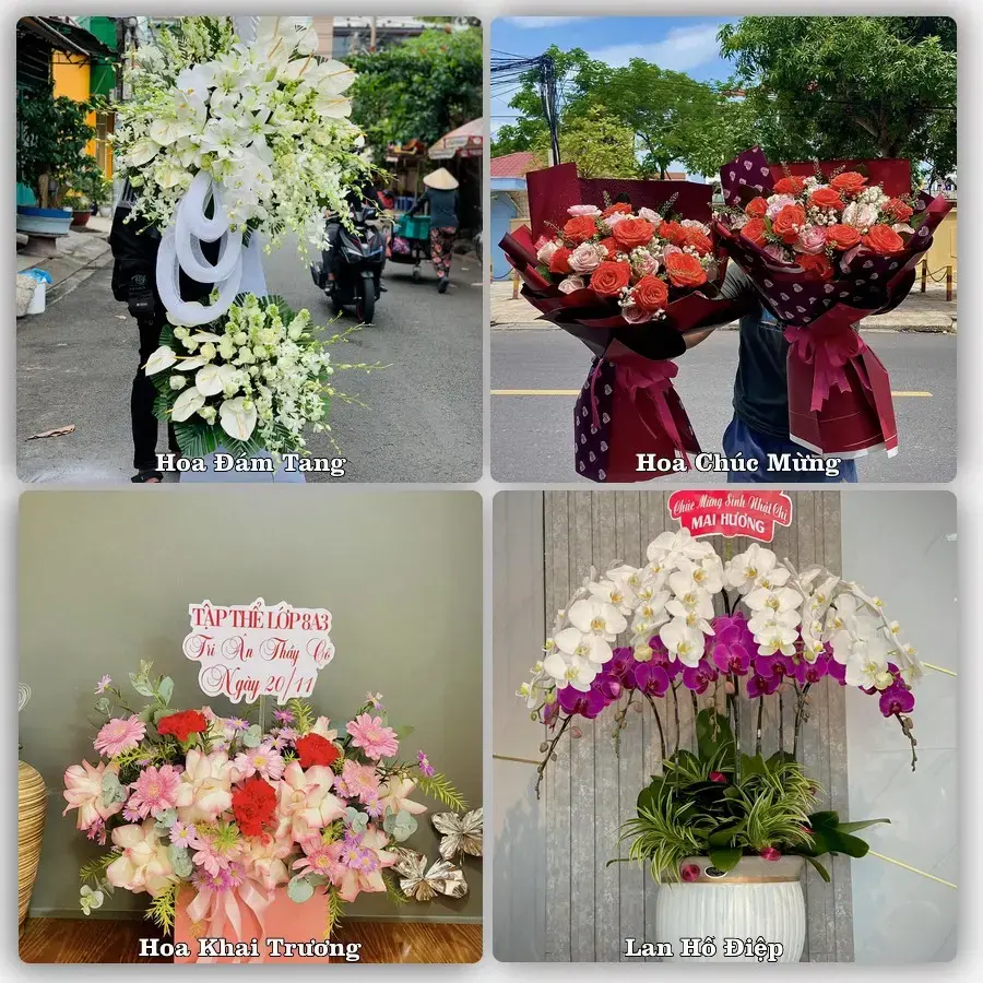 Tiệm hoa tươi Phường Lê Hồ, Ninh Bình – hoa sinh nhật và khai trương
