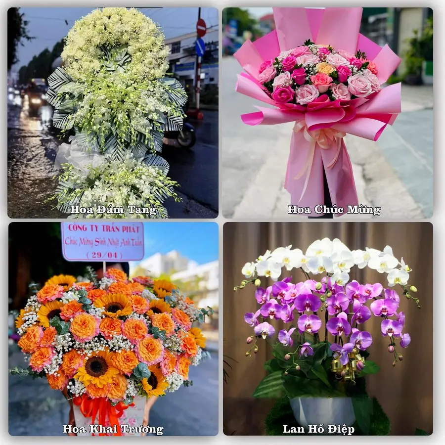 Dịch vụ đặt hoa và giao tận nơi tại Xã Nam Minh - Tỉnh Ninh Bình
