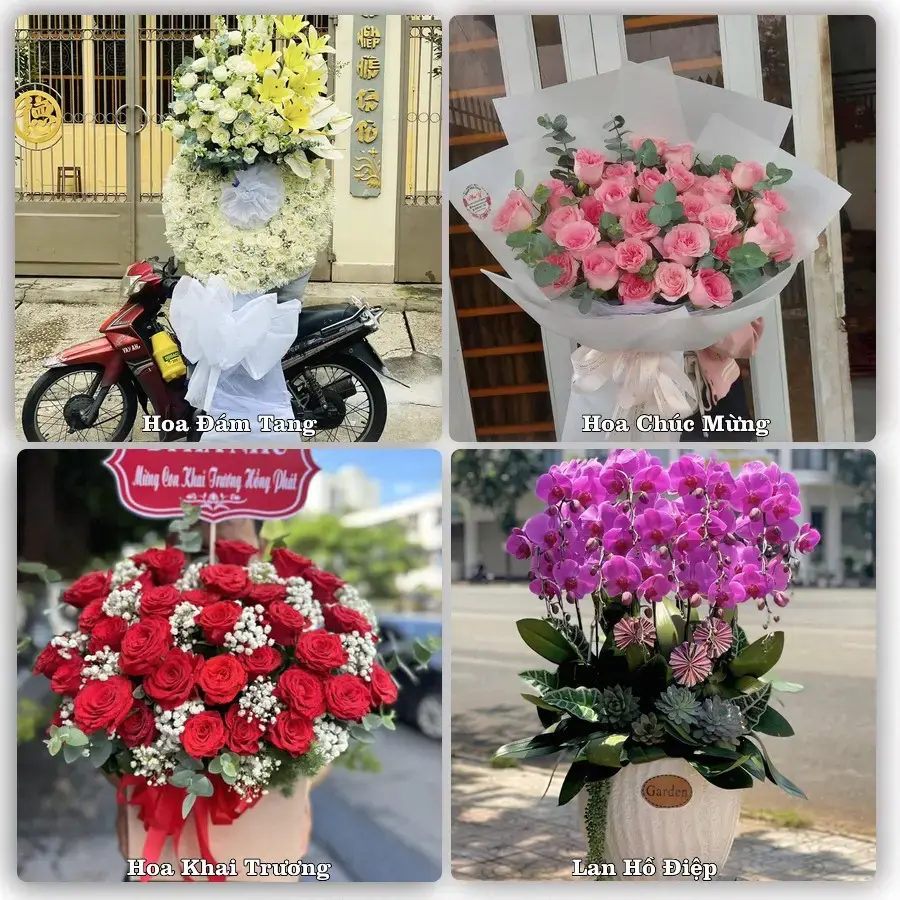 Tiệm hoa tươi Xã Nam Minh, Ninh Bình – hoa sinh nhật và khai trương