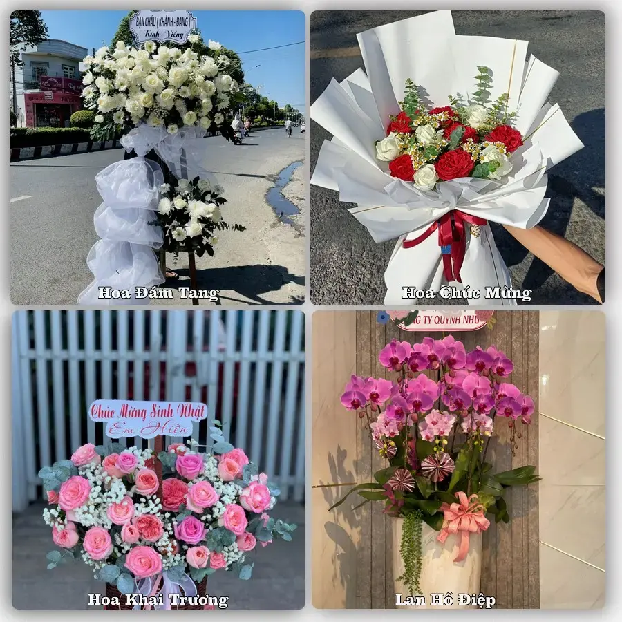 Tiệm hoa tươi Xã Phong Hòa, Đồng Tháp – hoa sinh nhật và khai trương