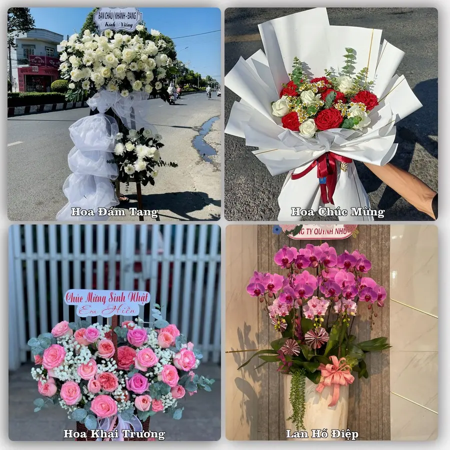 Mẫu hoa phục vụ nhu cầu đặt hoa tại Xã Phong Hòa - Tỉnh Đồng Tháp