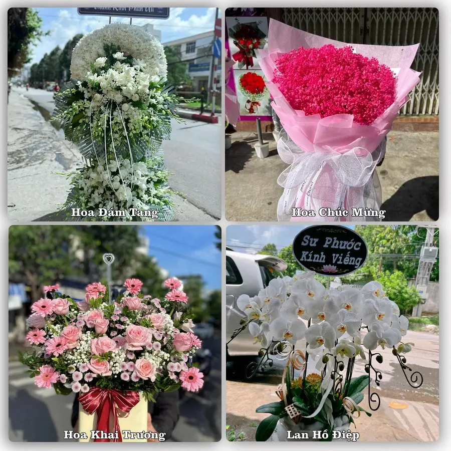 Dịch vụ đặt hoa và giao tận nơi tại Xã Tam Hồng - Tỉnh Phú Thọ