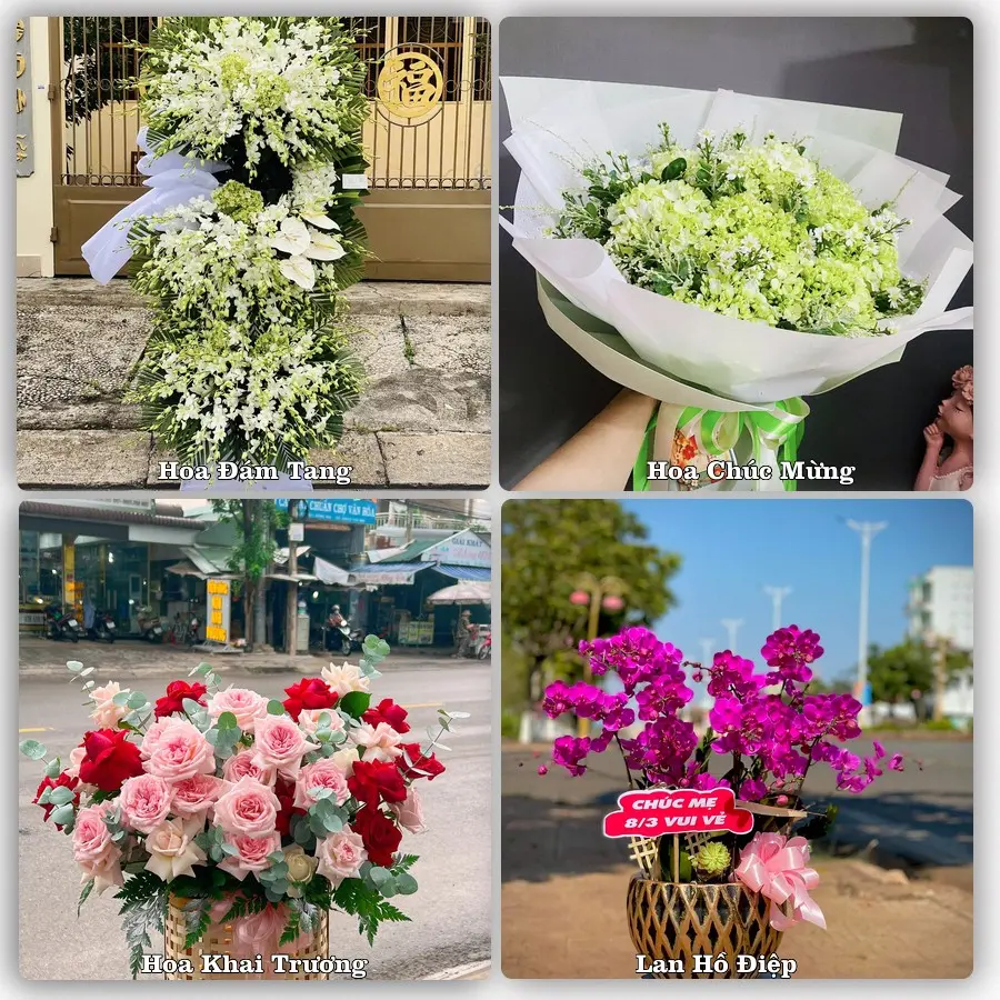 Mẫu hoa phục vụ nhu cầu đặt hoa tại Xã Tam Hồng - Tỉnh Phú Thọ