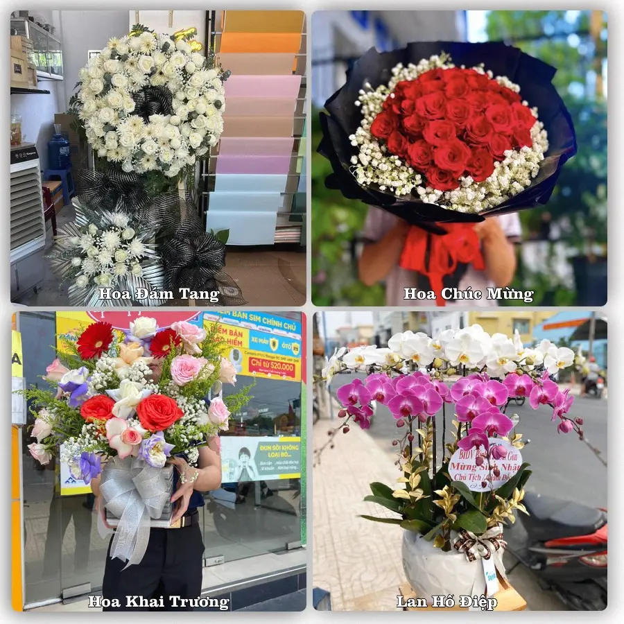 Tư vấn chọn hoa theo người nhận và dịp tặng tại Xã Tam Hồng - Tỉnh Phú Thọ