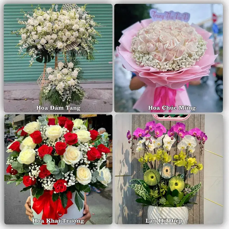 Dịch vụ đặt hoa và giao tận nơi tại Xã Thanh Miện - Thành phố Hải Phòng
