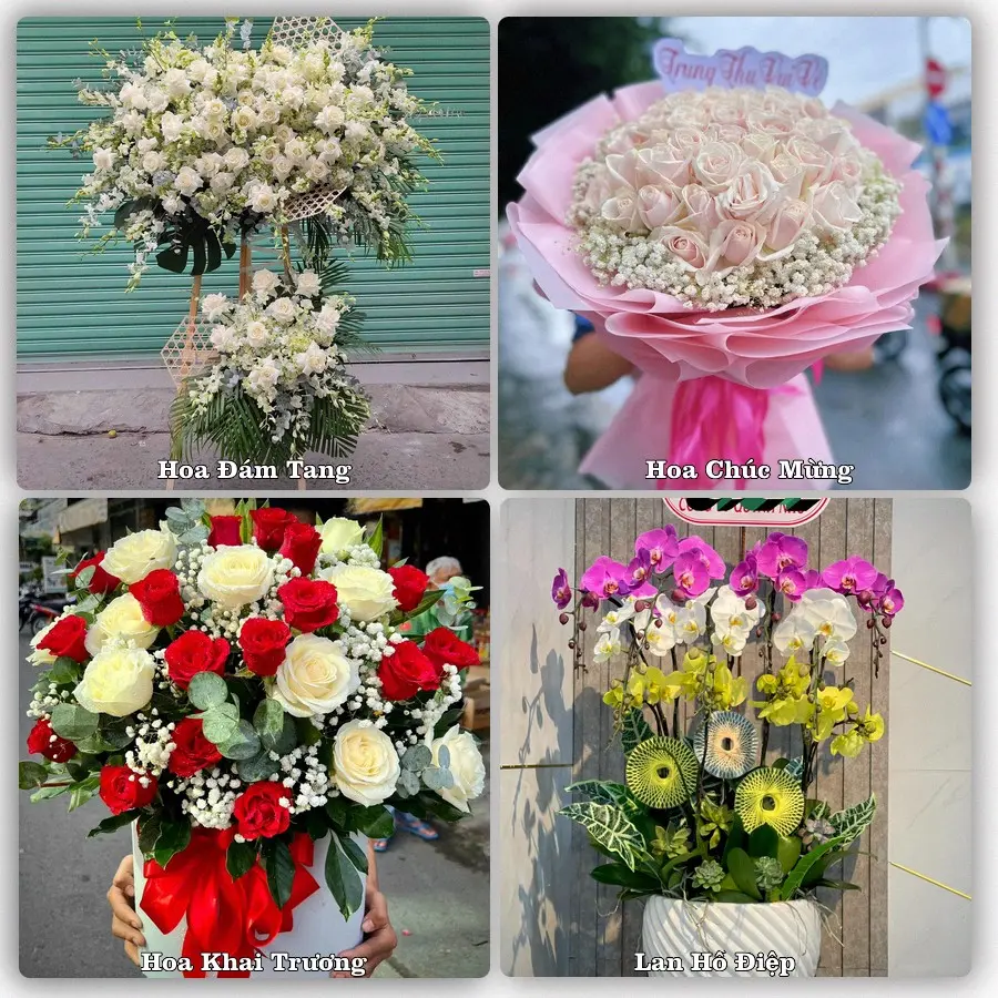 Dịch vụ đặt hoa và giao tận nơi tại Xã Thanh Miện - Thành phố Hải Phòng