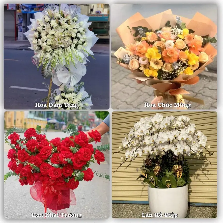 Tiệm hoa tươi Xã Thanh Miện, Hải Phòng – hoa sinh nhật và khai trương