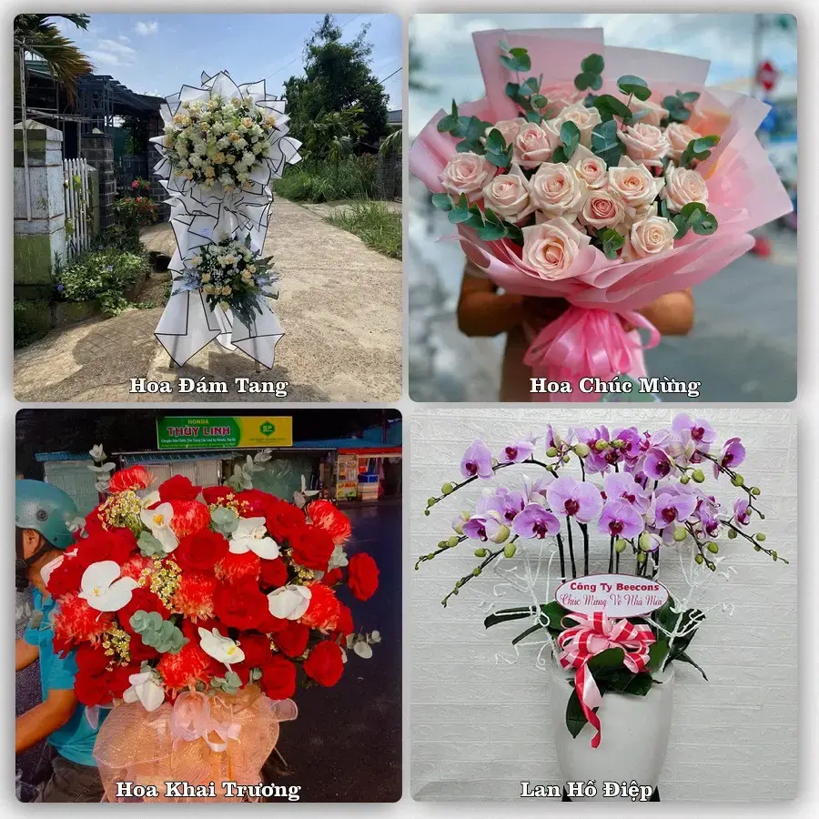 Tiệm hoa tươi Xã Thiệu Trung, Thanh Hóa – hoa sinh nhật và khai trương