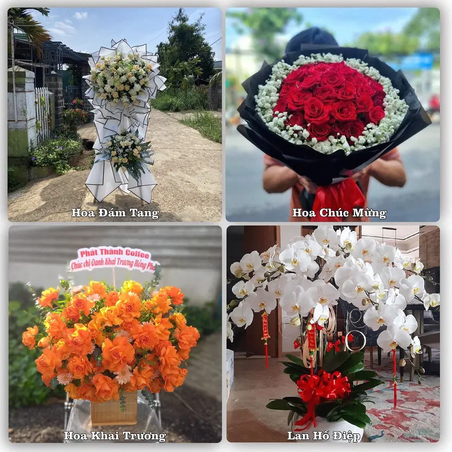 Mẫu hoa phục vụ nhu cầu đặt hoa tại Xã Thượng Phúc - Thành phố Hà Nội