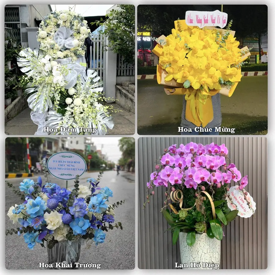 Tư vấn chọn hoa theo người nhận và dịp tặng tại Xã Thượng Phúc - Thành phố Hà Nội