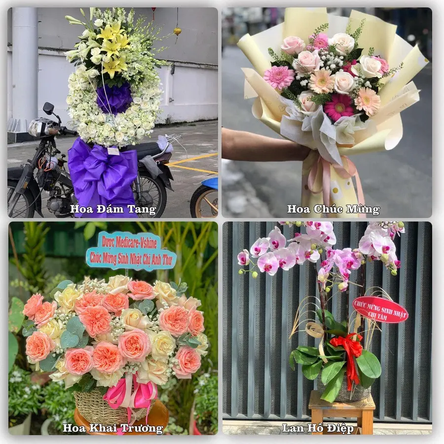 Dịch vụ đặt hoa và giao tận nơi tại Phường Trà Lý - Tỉnh Hưng Yên