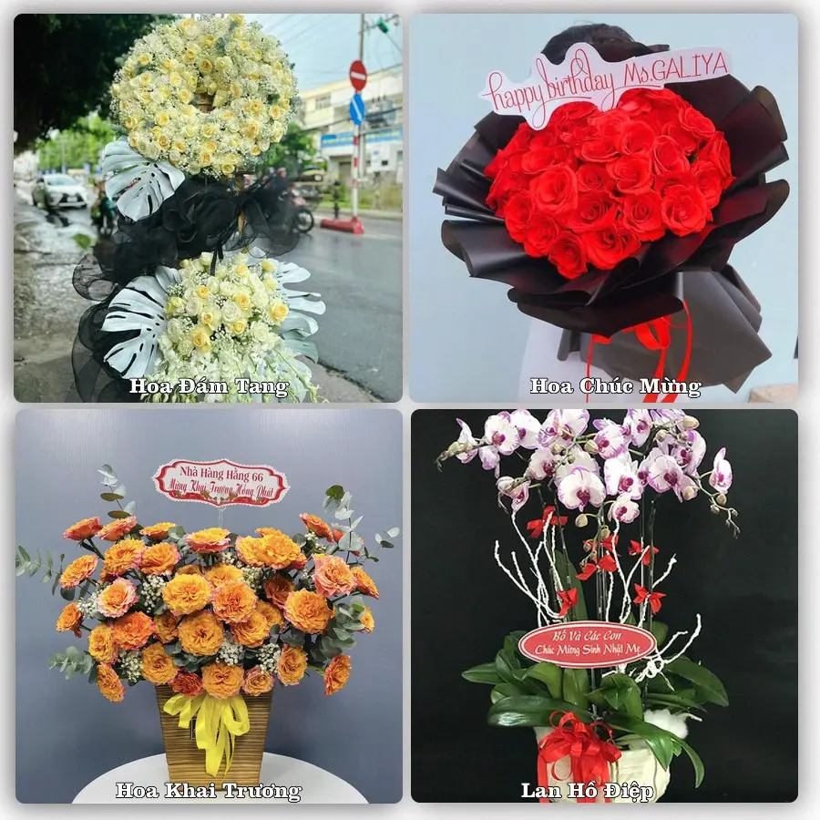 Mẫu hoa phục vụ nhu cầu đặt hoa tại Phường Trà Lý - Tỉnh Hưng Yên