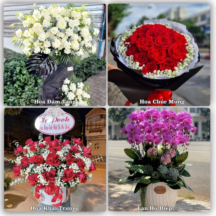 Tư vấn chọn hoa theo người nhận và dịp tặng tại Xã Vĩnh Thành - Tỉnh Phú Thọ