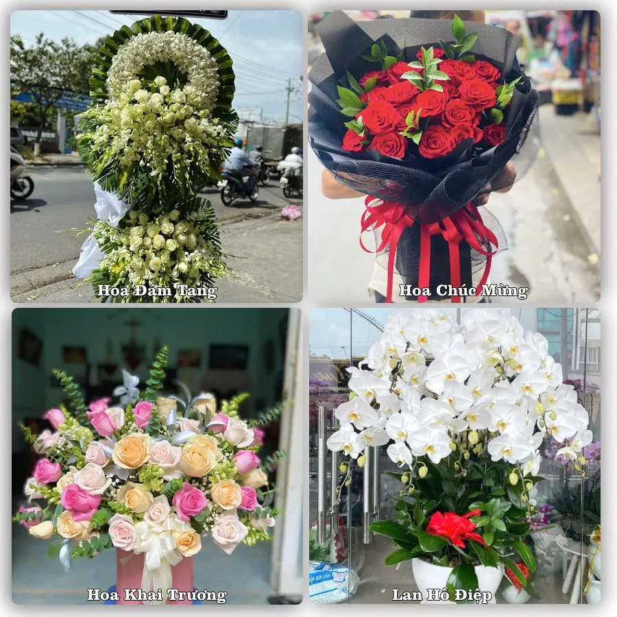 Dịch vụ đặt hoa và giao tận nơi tại Xã Ba Tri - Tỉnh Vĩnh Long