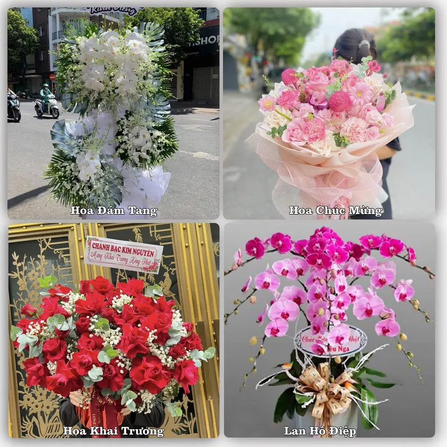 Tư vấn chọn hoa theo người nhận và dịp tặng tại Xã Ba Tri - Tỉnh Vĩnh Long