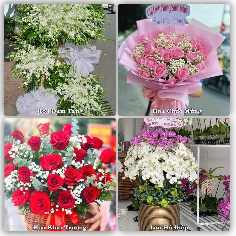 Shop hoa Xã Đại Phước, Đồng Nai – tư vấn mẫu, giao tận nơi