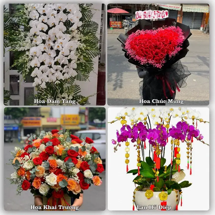 Tư vấn chọn hoa theo người nhận và dịp tặng tại Xã Đại Phước - Tỉnh Đồng Nai