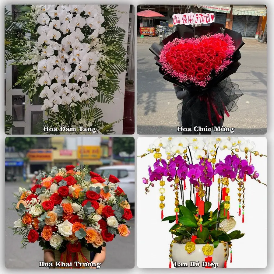 Tư vấn chọn hoa theo người nhận và dịp tặng tại Xã Đại Phước - Tỉnh Đồng Nai