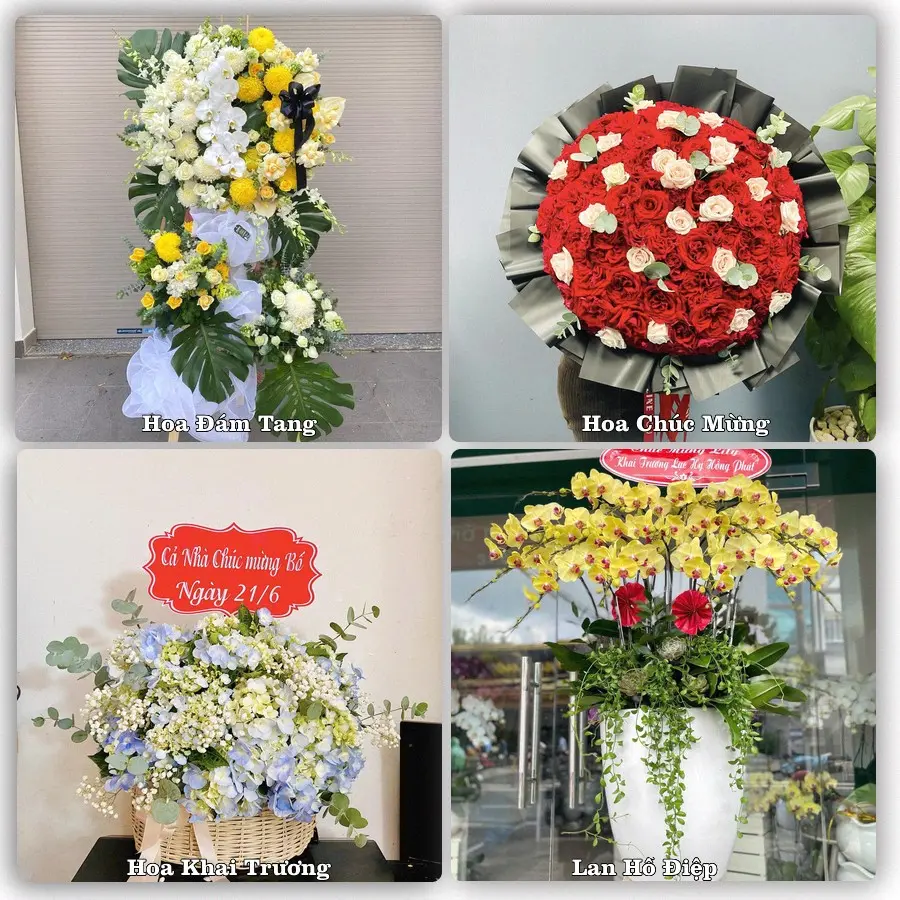 Mẫu hoa phục vụ nhu cầu đặt hoa tại Xã Mỹ Hạnh - Tỉnh Tây Ninh