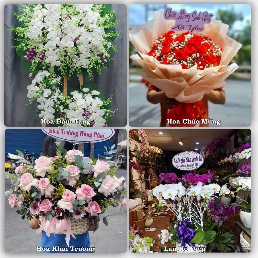 Tư vấn chọn hoa theo người nhận và dịp tặng tại Xã Mỹ Hạnh - Tỉnh Tây Ninh