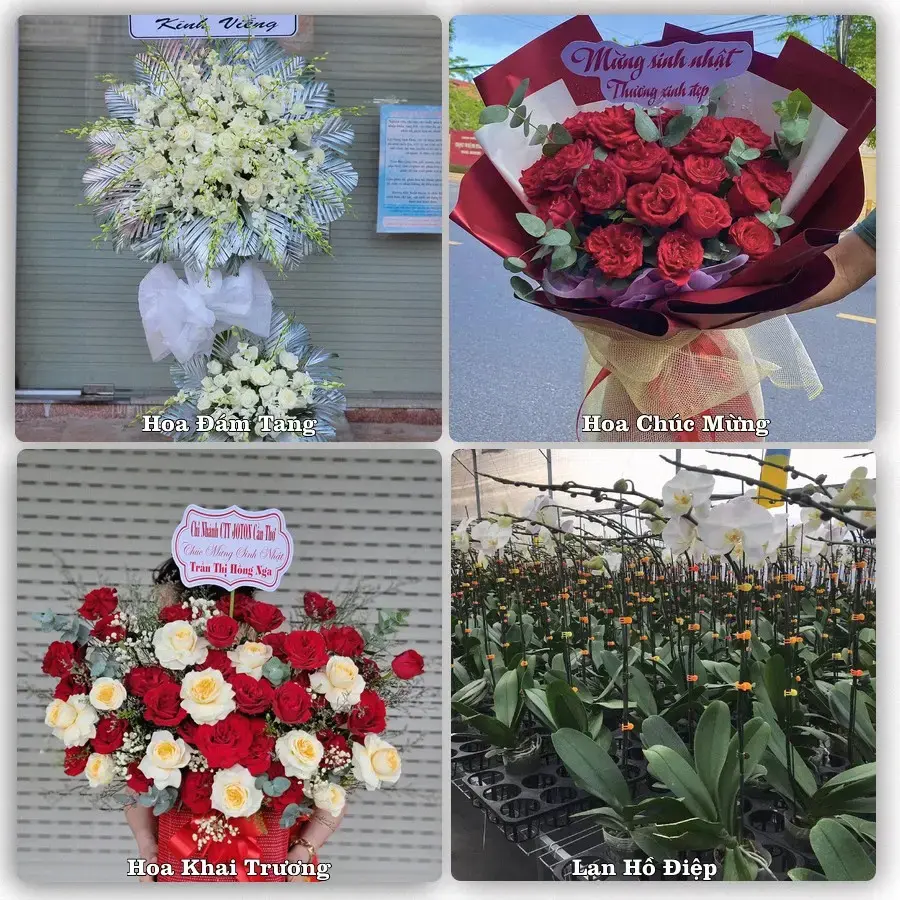 Shop hoa Xã Tân Phú Trung, Đồng Tháp – tư vấn mẫu, giao tận nơi