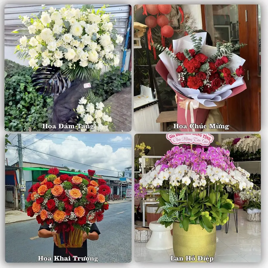 Tư vấn chọn hoa theo người nhận và dịp tặng tại Xã Tân Phú Trung - Tỉnh Đồng Tháp