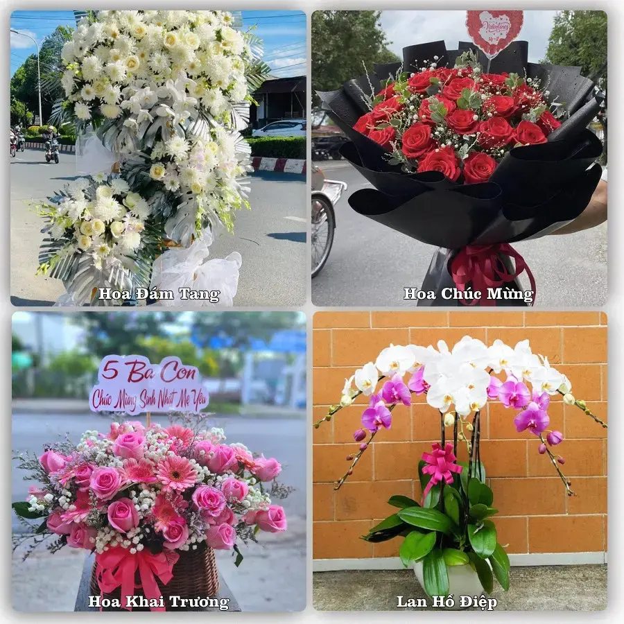 Shop hoa Xã Thạnh Hòa, Cần Thơ – tư vấn mẫu, giao tận nơi