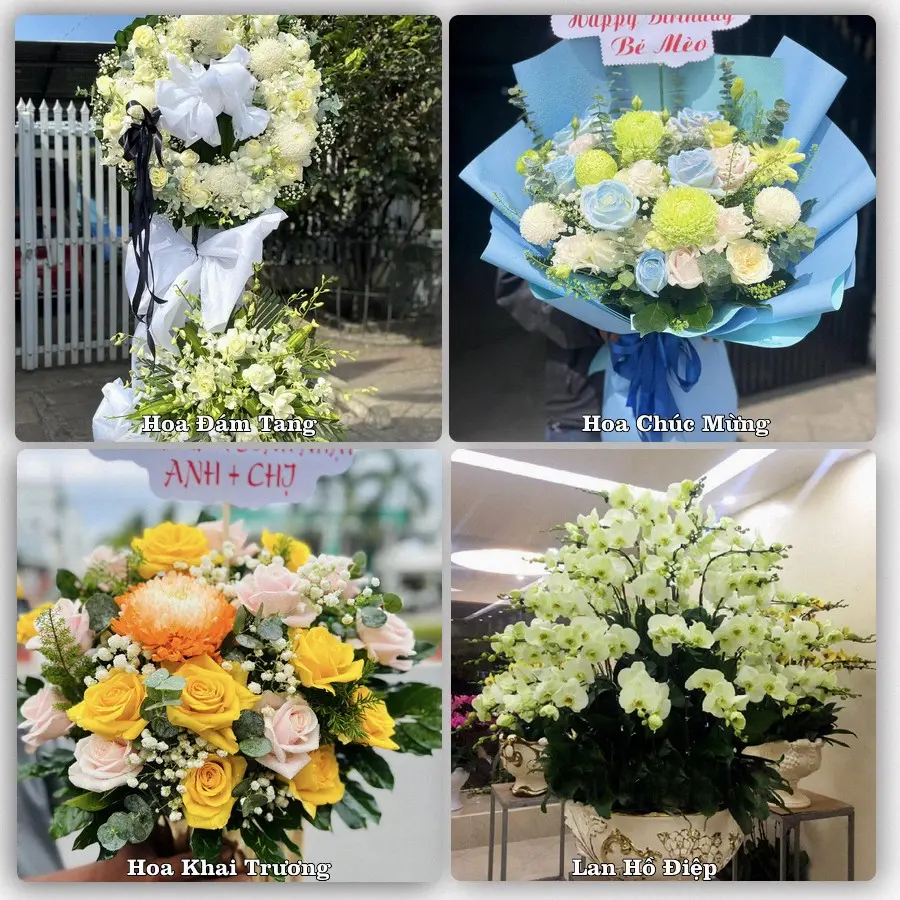 Mẫu hoa phục vụ nhu cầu đặt hoa tại Xã Tháp Mười - Tỉnh Đồng Tháp