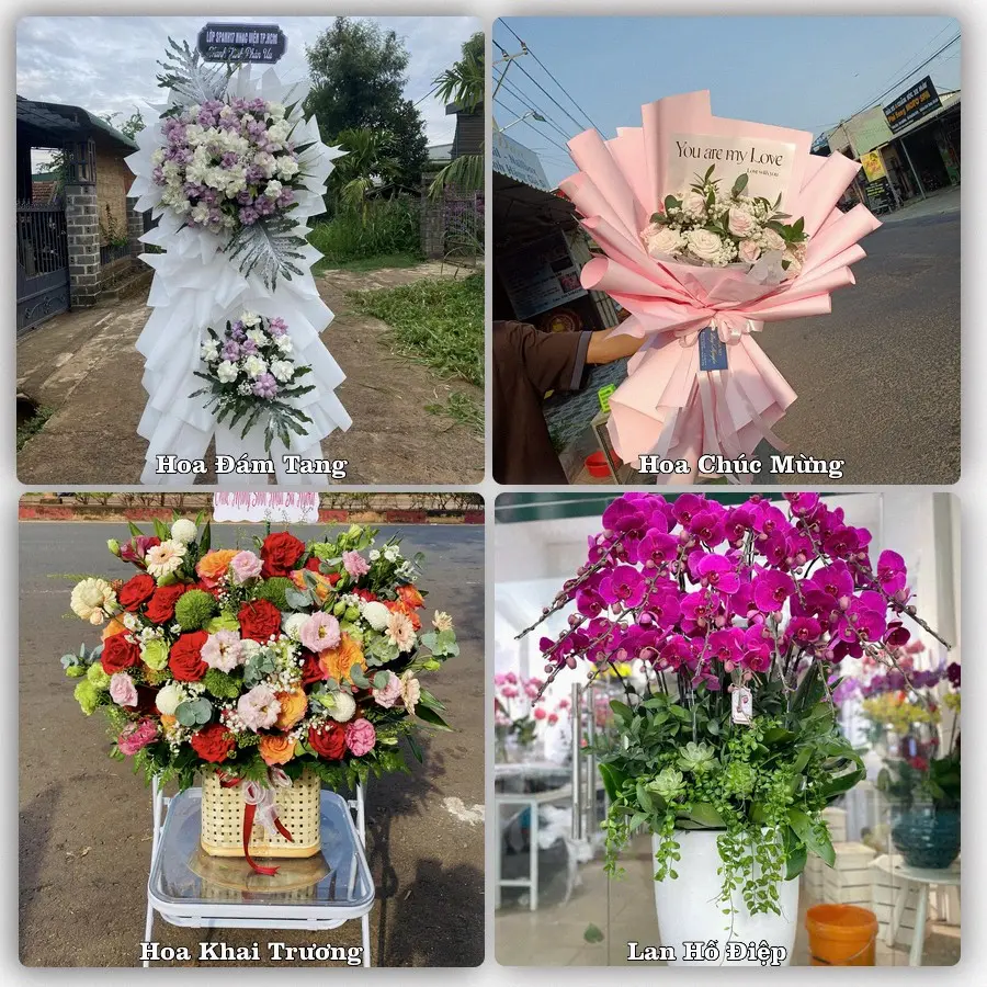 Tư vấn chọn hoa theo người nhận và dịp tặng tại Xã Thống Nhất - Tỉnh Đồng Nai