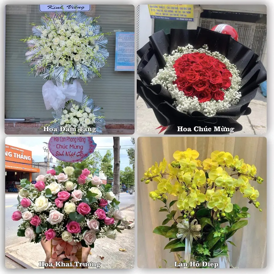 Dịch vụ đặt hoa và giao tận nơi tại Xã Xuân Trường - Tỉnh Ninh Bình