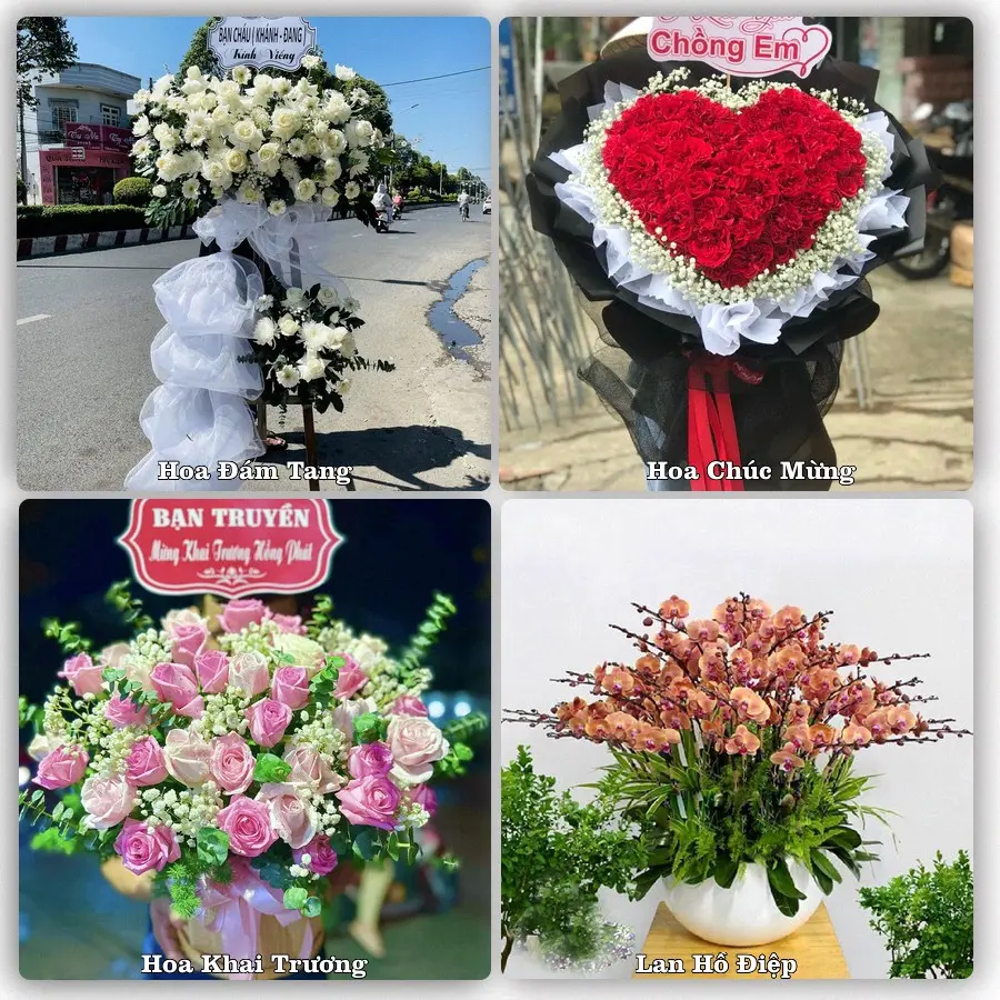 Mẫu hoa phục vụ nhu cầu đặt hoa tại Xã An Bình - Tỉnh Vĩnh Long