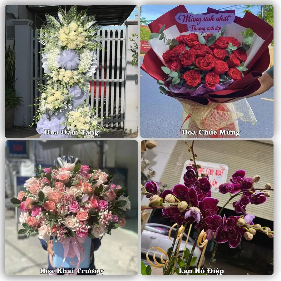 Tư vấn chọn hoa theo người nhận và dịp tặng tại Xã An Bình - Tỉnh Vĩnh Long