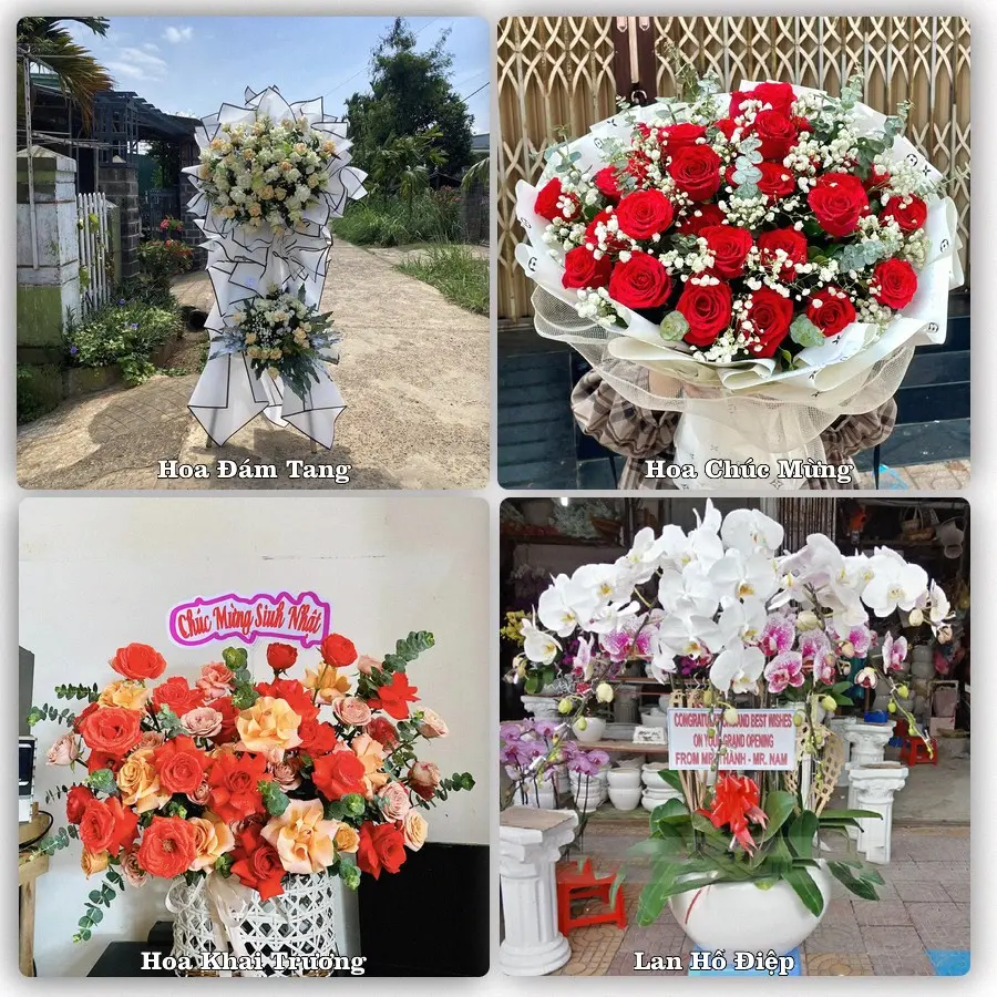 Mẫu hoa phục vụ nhu cầu đặt hoa tại Phường Bạc Liêu - Tỉnh Cà Mau