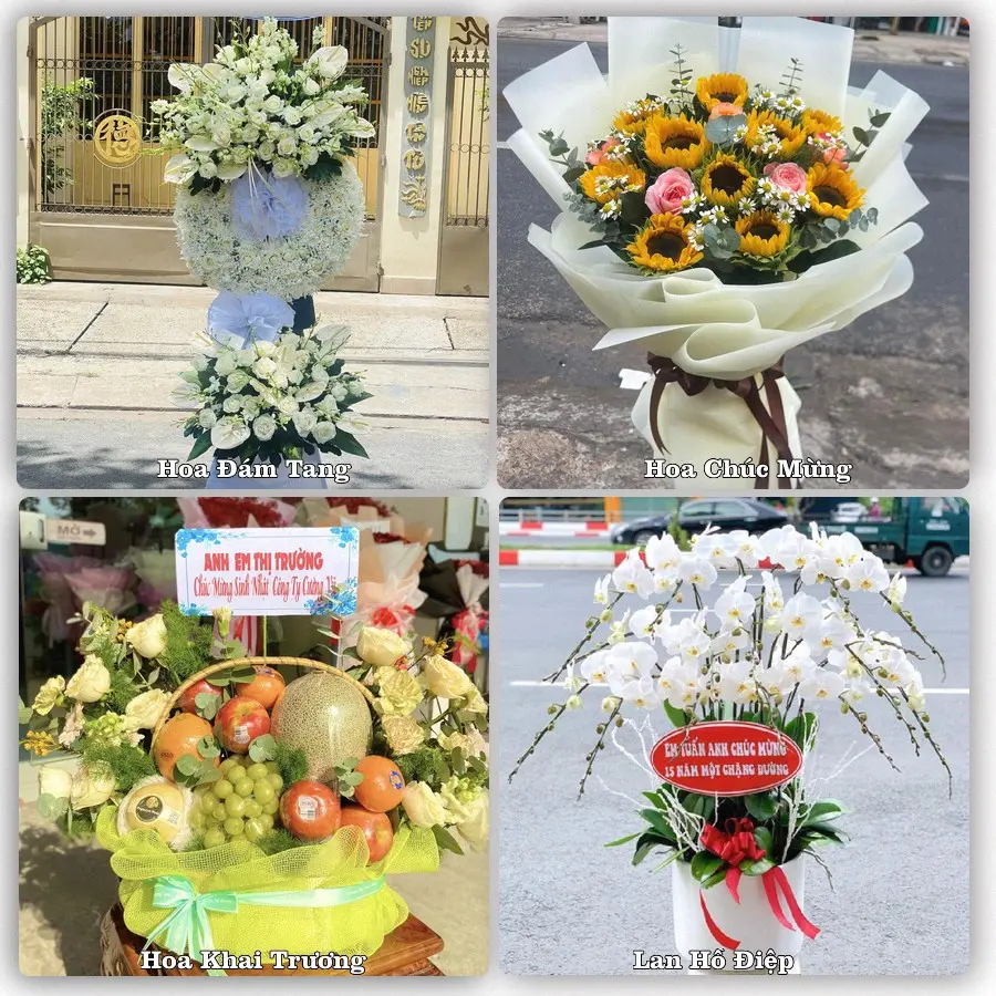 Tư vấn chọn hoa theo người nhận và dịp tặng tại Phường Bạc Liêu - Tỉnh Cà Mau