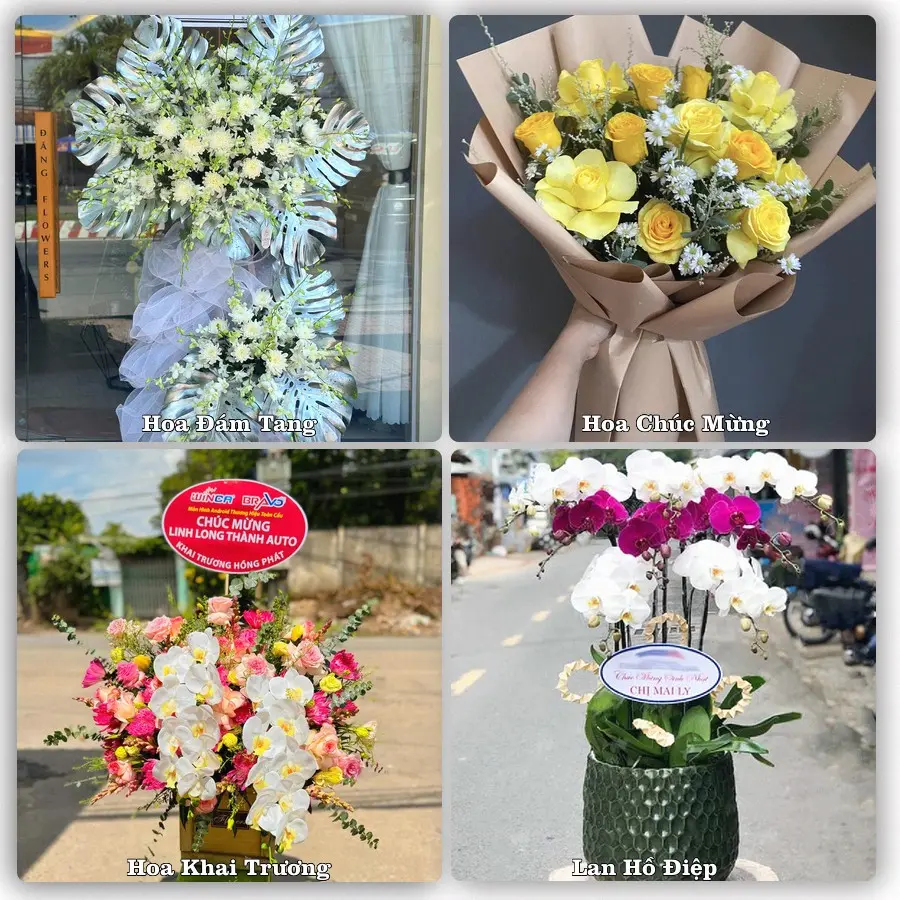 Mẫu hoa phục vụ nhu cầu đặt hoa tại Xã Bình Phú - Tỉnh Đồng Tháp
