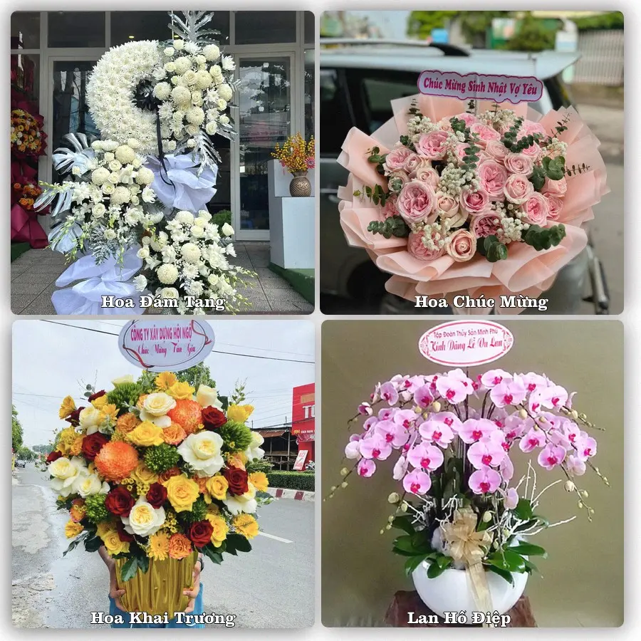 Tư vấn chọn hoa theo người nhận và dịp tặng tại Xã Bình Phú - Tỉnh Đồng Tháp