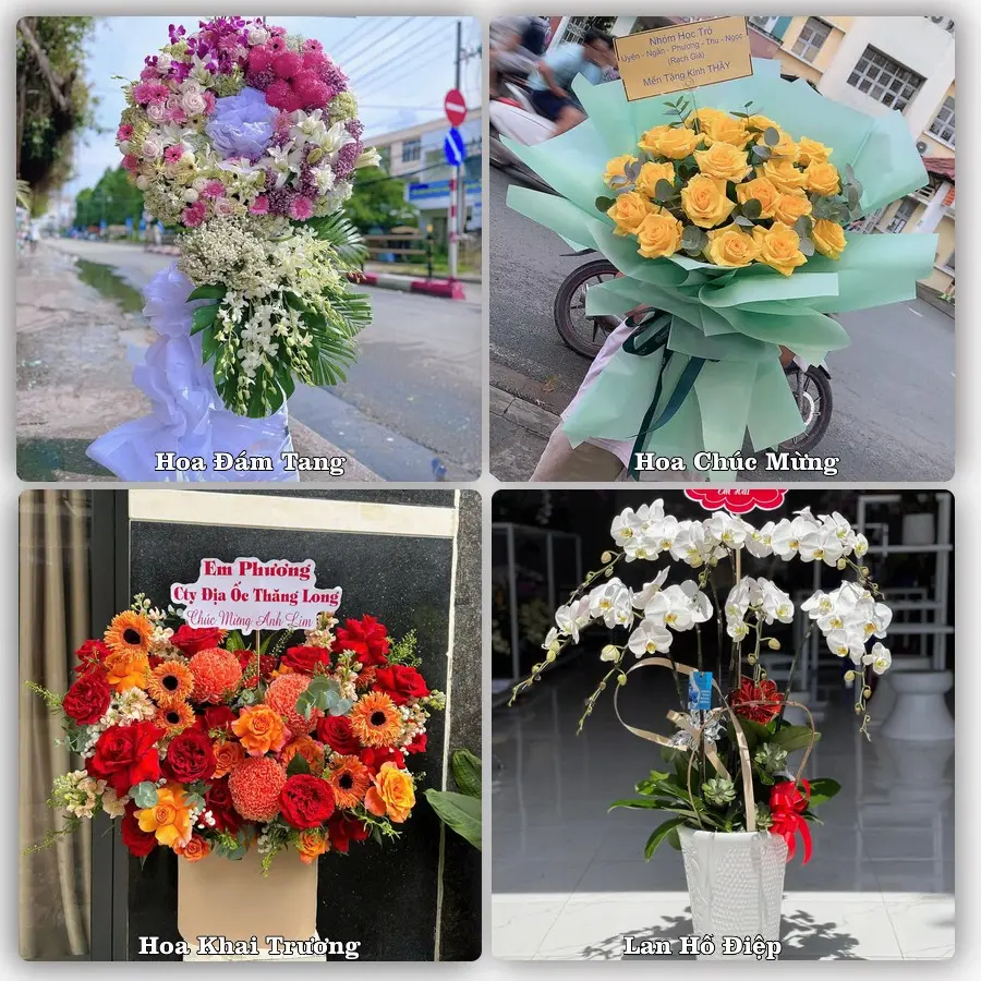 Mẫu hoa phục vụ nhu cầu đặt hoa tại Xã Đại Hải - Thành phố Cần Thơ