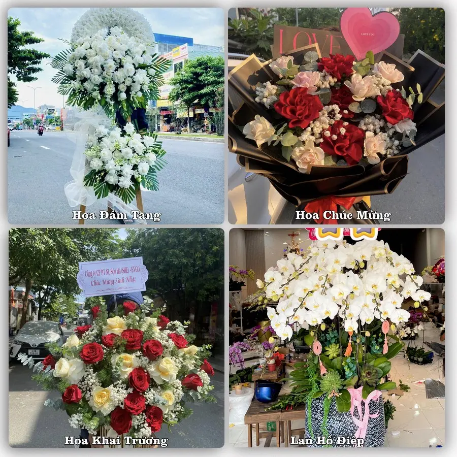 Tư vấn chọn hoa theo người nhận và dịp tặng tại Xã Đại Hải - Thành phố Cần Thơ