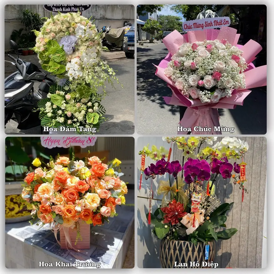 Dịch vụ đặt hoa và giao tận nơi tại Phường Đông Hà - Tỉnh Quảng Trị