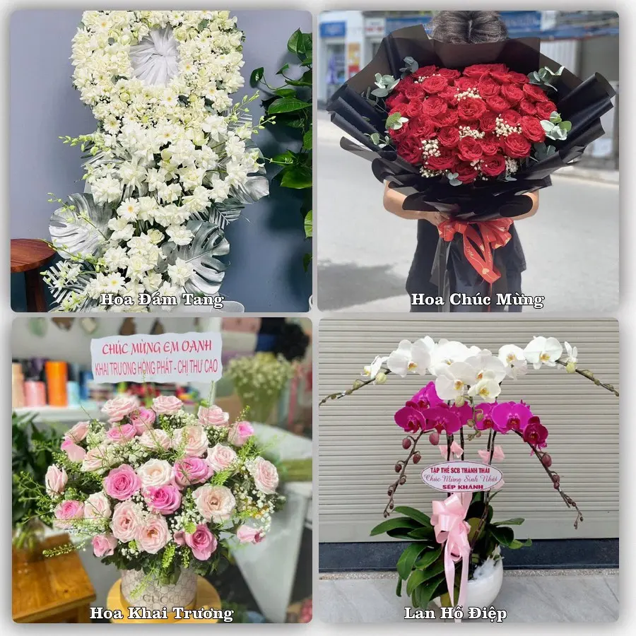 Tư vấn chọn hoa theo người nhận và dịp tặng tại Phường Đông Hà - Tỉnh Quảng Trị