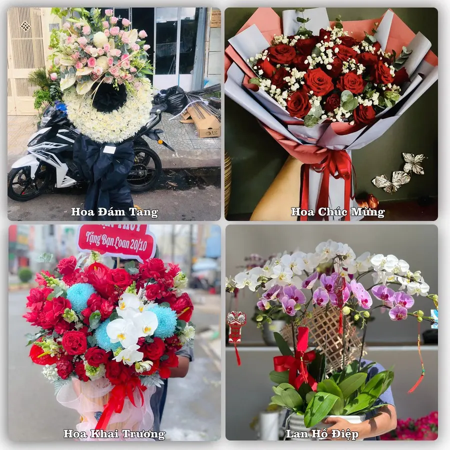 Mẫu hoa phục vụ nhu cầu đặt hoa tại Xã Kiến Xương - Tỉnh Hưng Yên