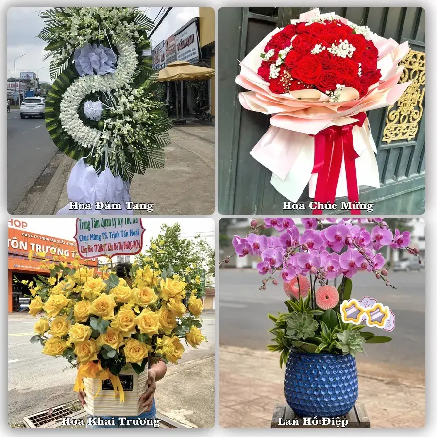 Điện hoa Xã Nguyễn Lương Bằng, Hải Phòng – đặt online, xem hình trước khi giao