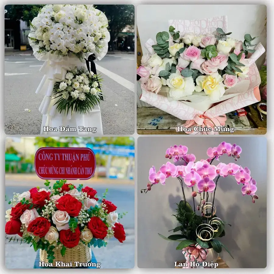 Tư vấn chọn hoa theo người nhận và dịp tặng tại Xã Nguyễn Lương Bằng - Thành phố Hải Phòng