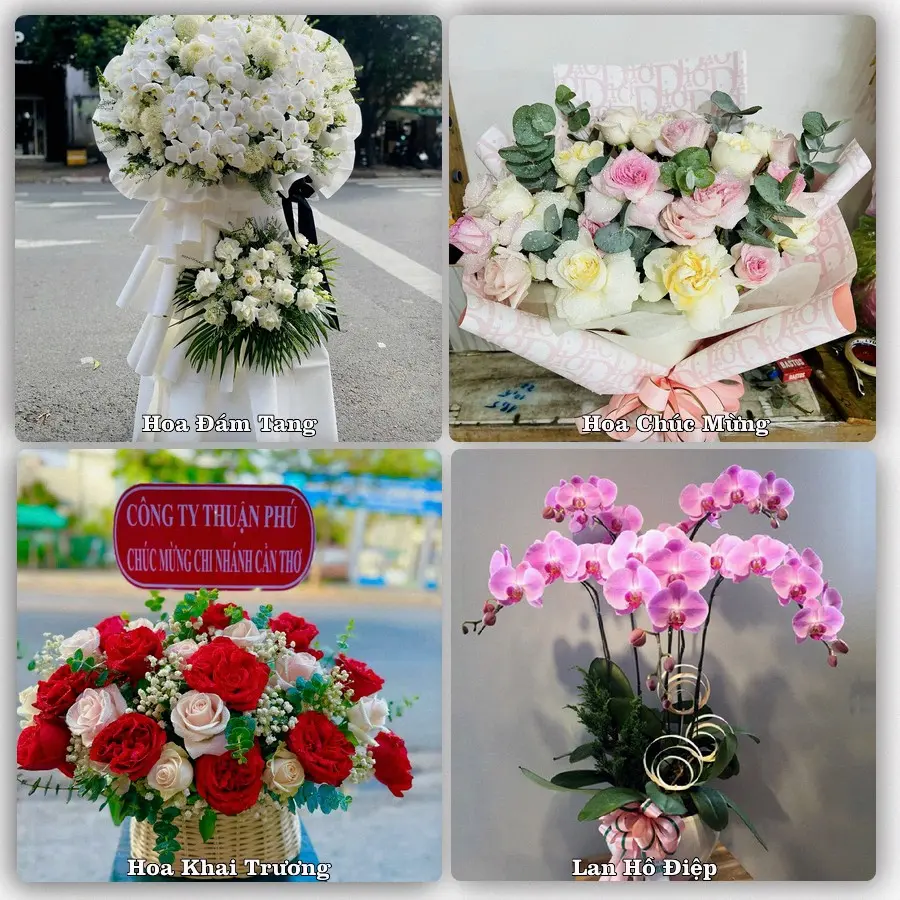 Tư vấn chọn hoa theo người nhận và dịp tặng tại Xã Nguyễn Lương Bằng - Thành phố Hải Phòng