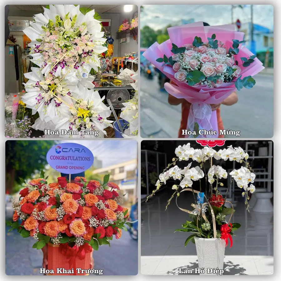 Tư vấn chọn hoa theo người nhận và dịp tặng tại Xã Nhuận Đức - Thành phố Hồ Chí Minh